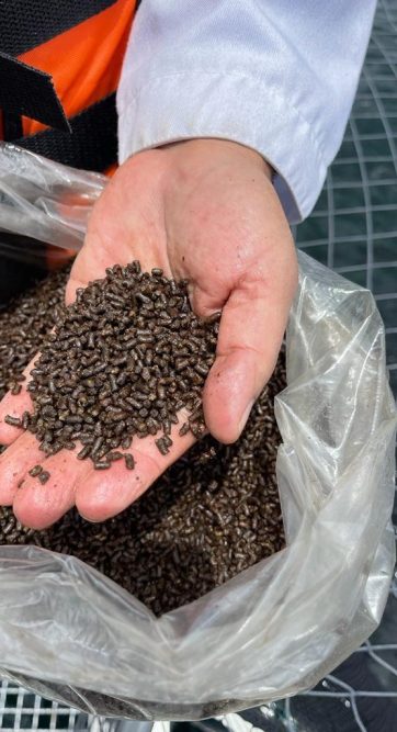 WhatsApp Image 2024-06-03 at 5.17.21 PM